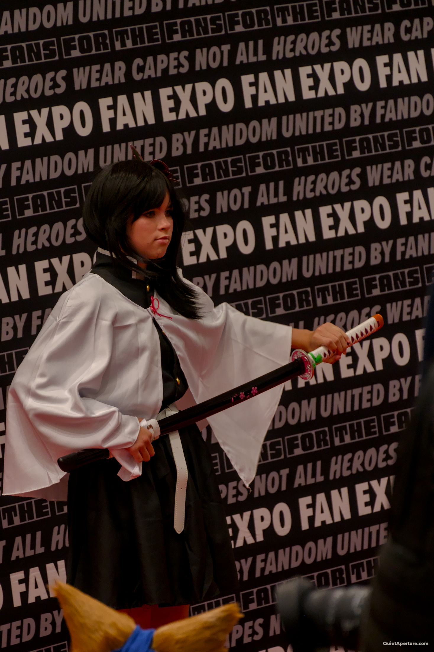 Fan Expo 2026, frame 17.